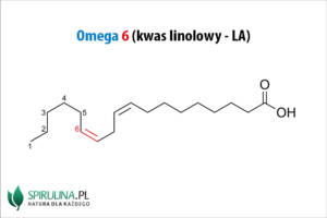 Omega 6