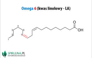 Omega 6