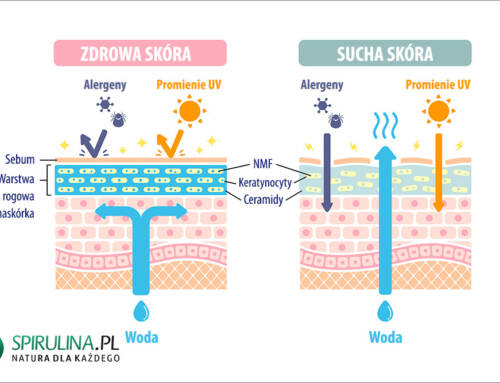 Sucha skóra