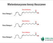 Wielonienasycone kwasy tłuszczowe