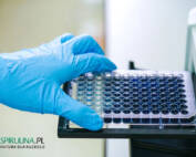 Test ELISA