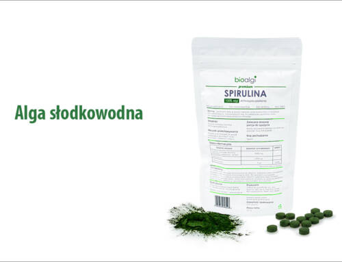 Alga słodkowodna