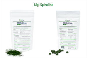 Algi Spirulina