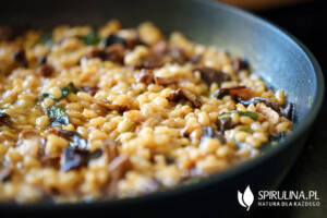 Kaszotto