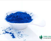 Niebieska Spirulina