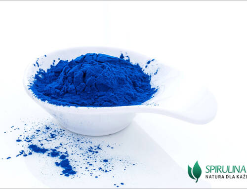 Niebieska Spirulina