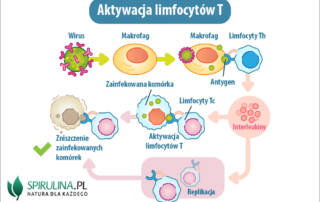 Odpowiedź immunologiczna