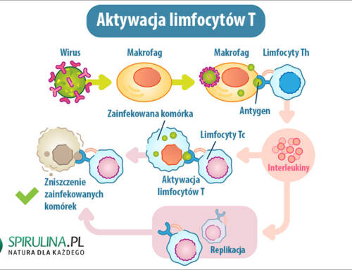 Odpowiedź immunologiczna
