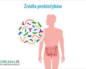 Źródła probiotyków