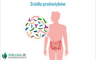Źródła probiotyków