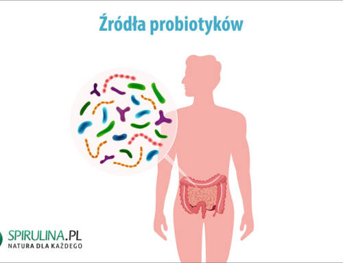 Źródła probiotyków