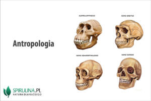 Antropologia