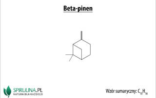 Beta-pinen