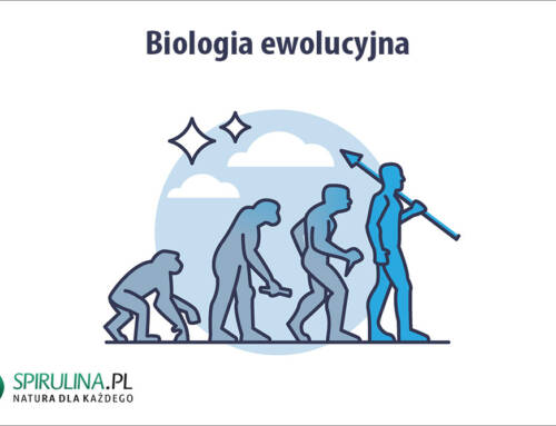 Biologia ewolucyjna