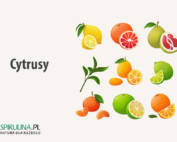 Cytrusy