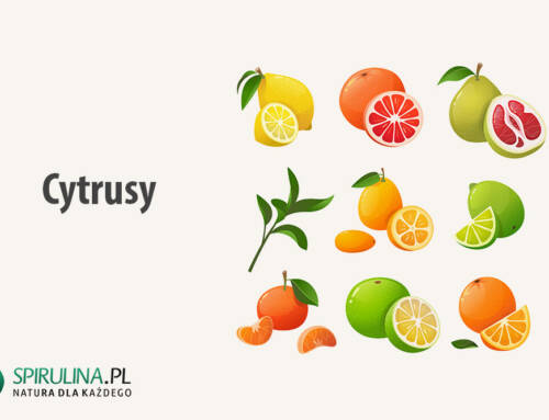Cytrusy