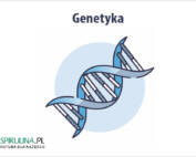 Genetyka