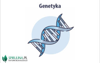 Genetyka