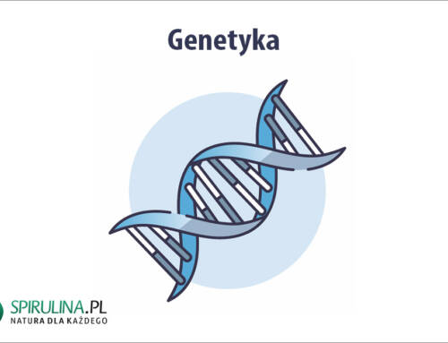 Genetyka