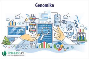 Genomika