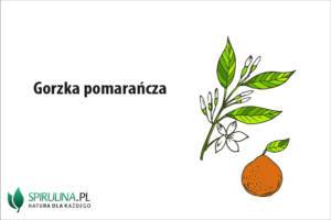 Gorzka pomarańcza