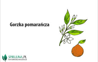 Gorzka pomarańcza