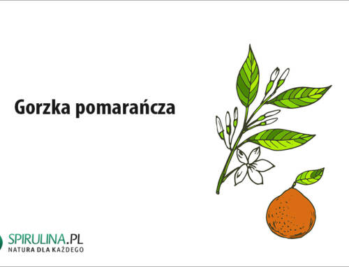 Gorzka pomarańcza