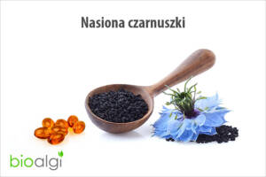 Nasiona czarnuszki