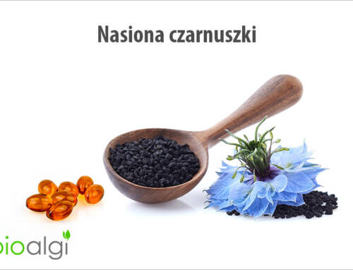 Nasiona czarnuszki