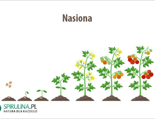 Nasiona