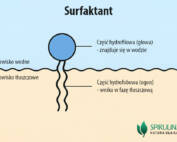 Surfaktant