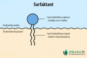 Surfaktant