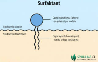 Surfaktant