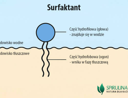 Surfaktant