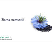 Ziarna czarnuszki