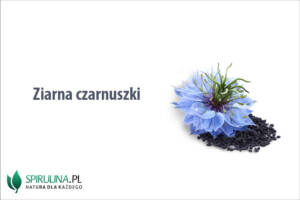 Ziarna czarnuszki