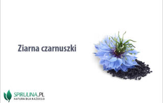 Ziarna czarnuszki
