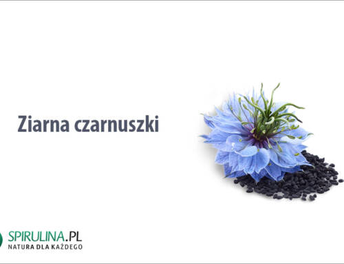 Ziarna czarnuszki