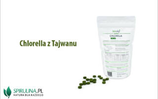 Chlorella z Tajwanu