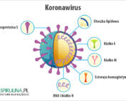 Koronawirus