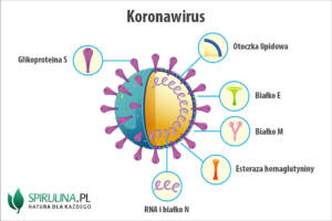 Koronawirus Koronawirus