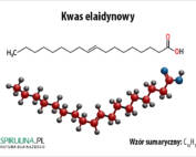 Kwas elaidynowy