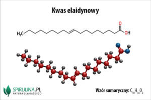 Kwas elaidynowy