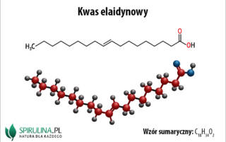 Kwas elaidynowy