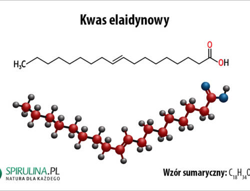Kwas elaidynowy
