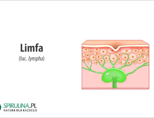 Limfa