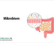 Mikrobiom