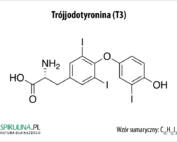 Trójjodotyronina (T3)