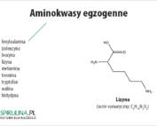 Aminokwasy egzogenne