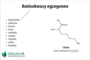 Aminokwasy egzogenne